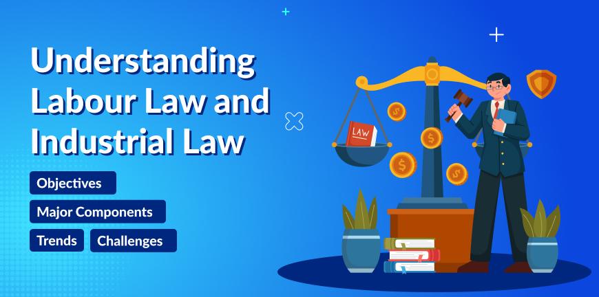understanding labour law and industrial law 11zon